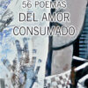 bayarri_De_la_paz_amor_consumado_ole_libros