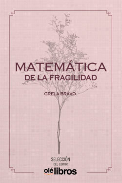 matematica_fragilidad_grela_bravo_ole_libros