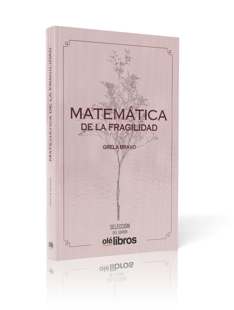 matematica_fragilidad_grela_bravo_ole_libros
