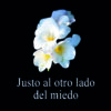 9788419589743_justo_al_otro_lado_pilar_alvarez_ole_libros
