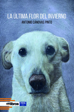 9788419589859_la_ultima_flor_del_invierno