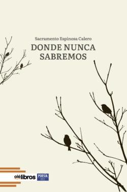 9788410053564_Donde_nunca_sabremos_B