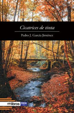 Cicatrices de tinta